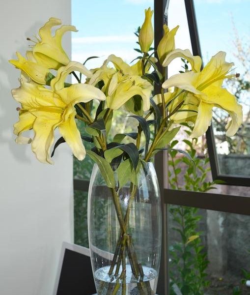 صورة الفندق 22