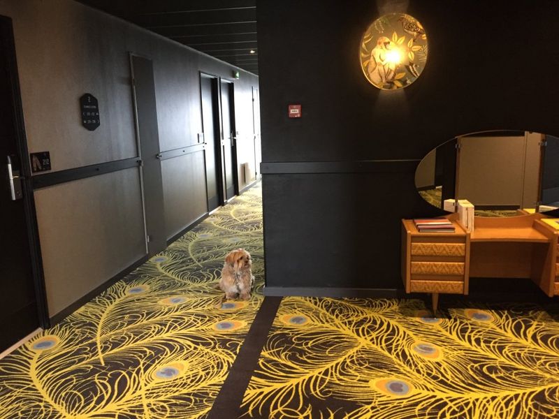 Hotel Photo 15