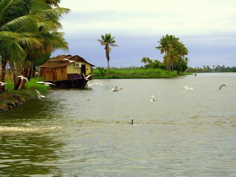 صورة الفندق 11
