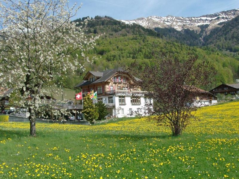 Hotel Photo 23