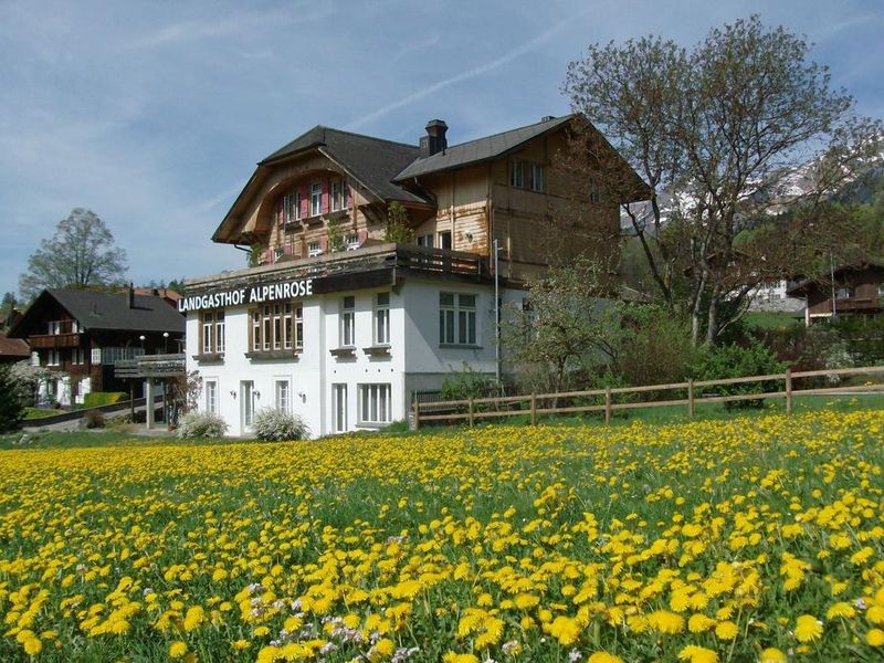 Hotel Photo 24