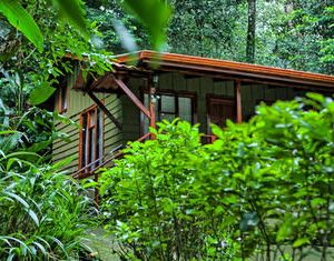 Jaguarundi Lodge - Monteverde Santa Elena Costa Rica