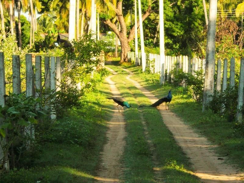 صورة الفندق 20