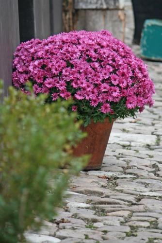 صورة الفندق 20