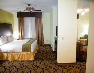 Holiday Inn Express Hotel & Suites Houston North Intercontinental Aldine United States