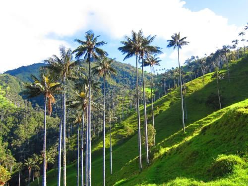 صورة الفندق 10