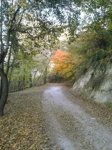 صورة الفندق 22