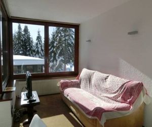 BILOCALE ALBERTI   PATASCOSS Madonna di Campiglio Italy