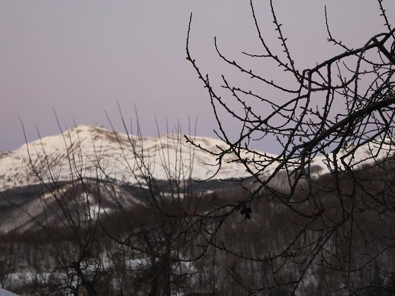 صورة الفندق 11