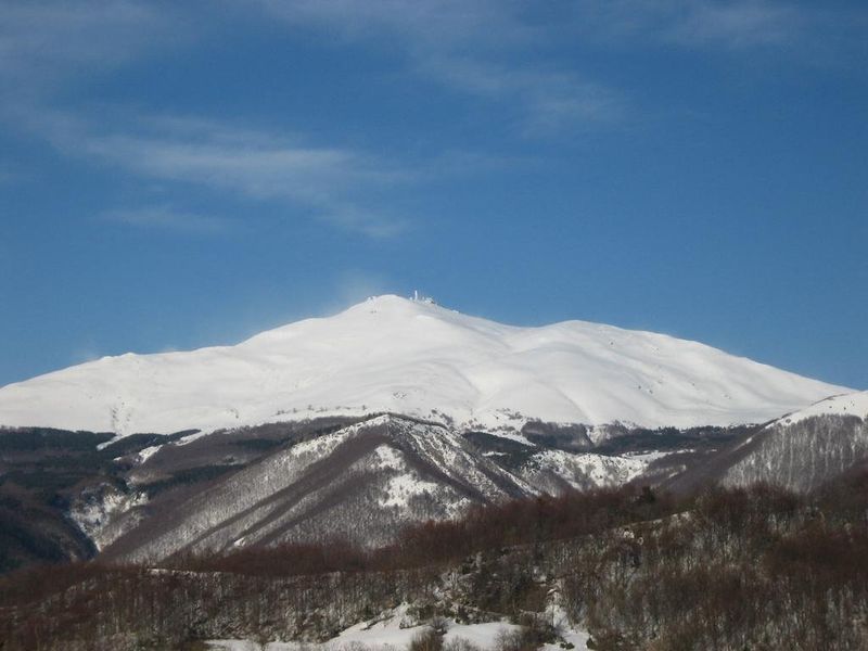 صورة الفندق 13