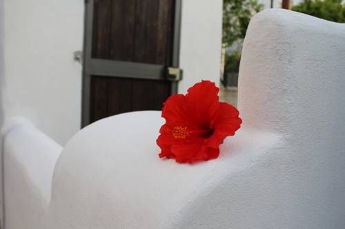 صورة الفندق 19