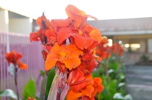 صورة الفندق 18
