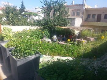 صورة الفندق 8