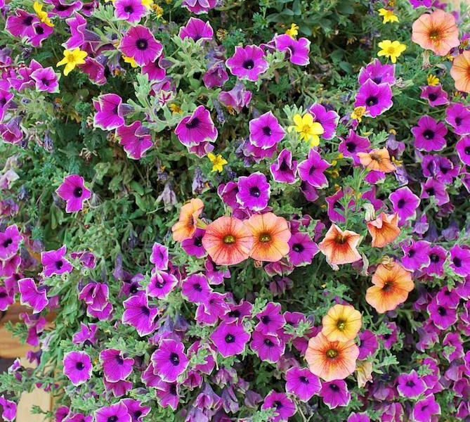 صورة الفندق 22