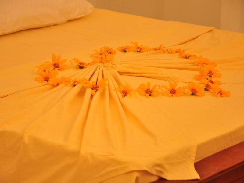 صورة الفندق 16