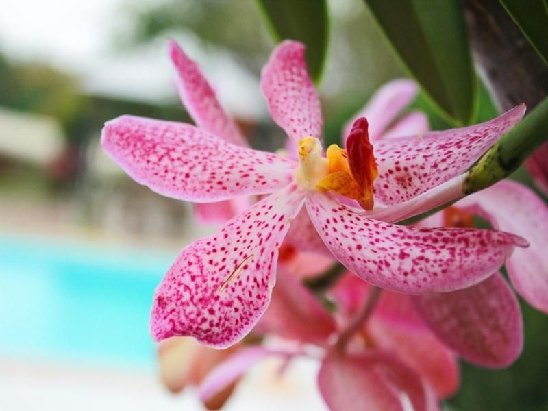 صورة الفندق 11