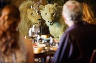 صورة الفندق 10