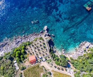 Villa Sea Edge Orebic Croatia