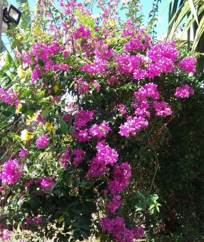 صورة الفندق 2
