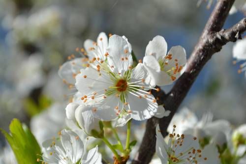 صورة الفندق 21