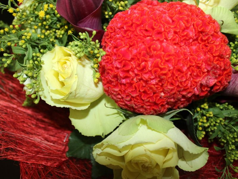 صورة الفندق 9