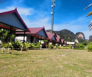 Phi Phi Coralbay Phi Phi Island Thailand