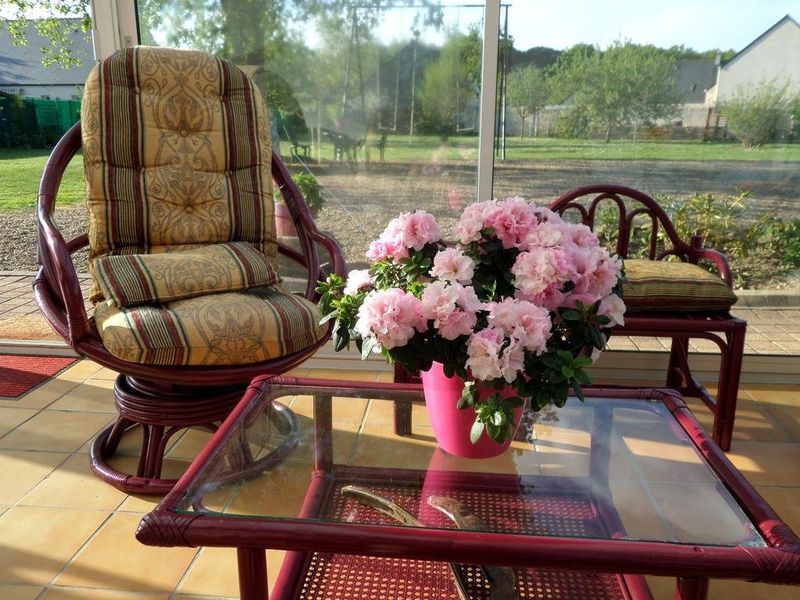 صورة الفندق 20
