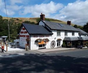 The Red Lion Inn Llanfihangel United Kingdom