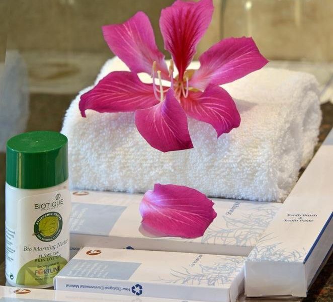 Hotel Photo 15