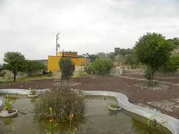 صورة الفندق 18