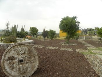 صورة الفندق 20