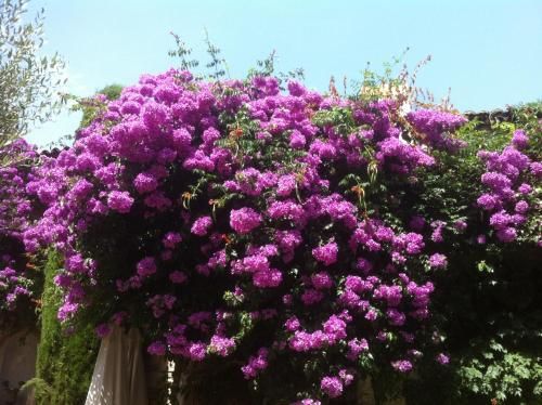صورة الفندق 22