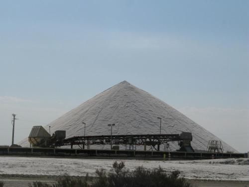 صورة الفندق 24