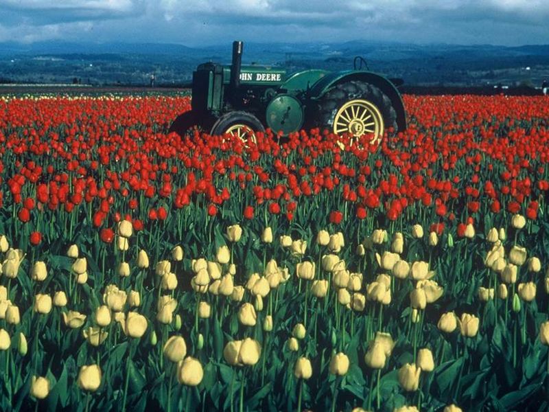 صورة الفندق 22