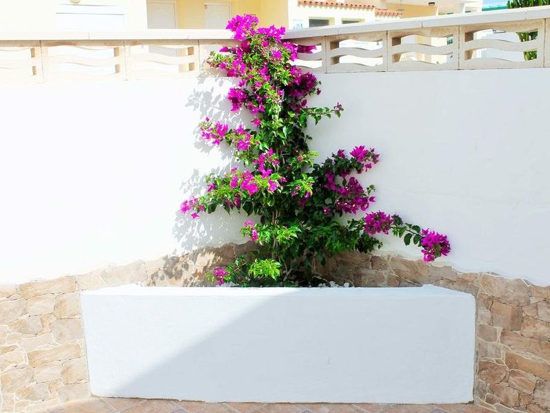 صورة الفندق 19