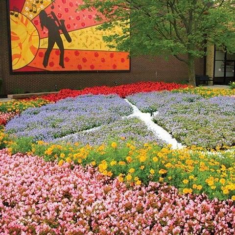 صورة الفندق 14