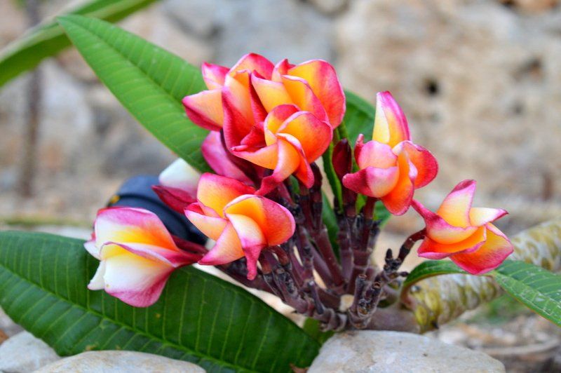 صورة الفندق 16