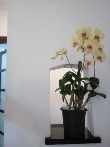صورة الفندق 12