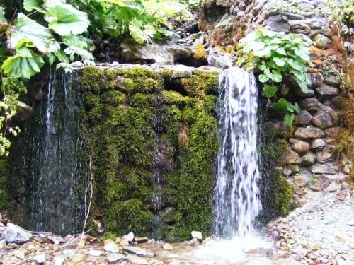 صورة الفندق 10