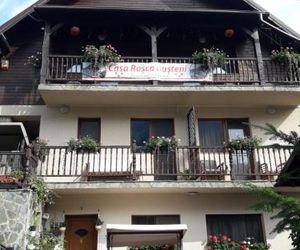 Casa Rosca Busteni Busteni Romania