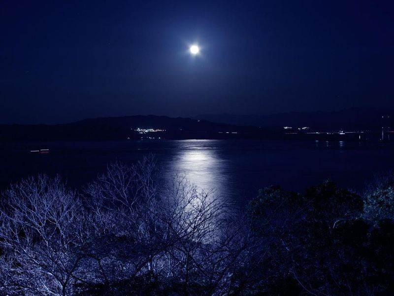 صورة الفندق 9