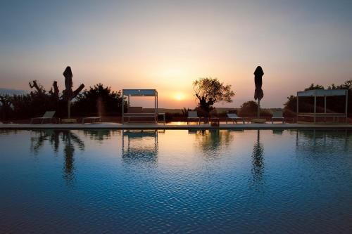 صورة الفندق 24