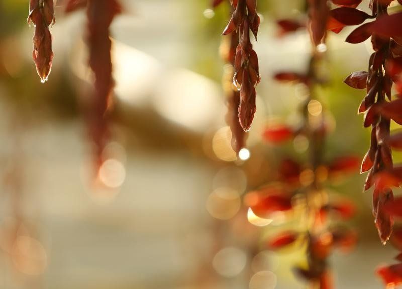 صورة الفندق 5