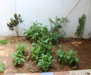Purushottam Guest House Anjuna India