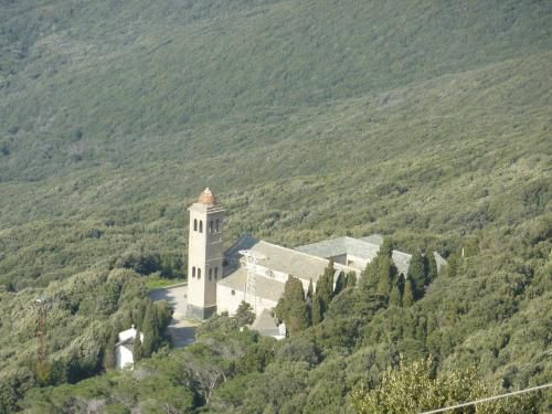صورة الفندق 24