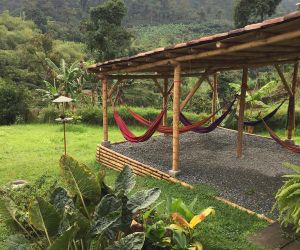 Hacienda Venecia Coffee Farm Hotel Manizales Colombia