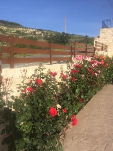 صورة الفندق 16