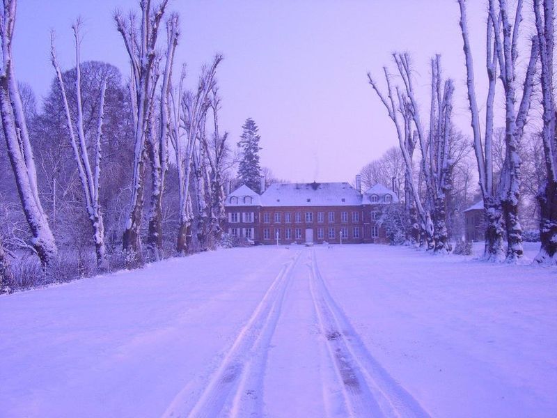صورة الفندق 24
