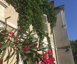 Maison Jean Chapelle Avignon France