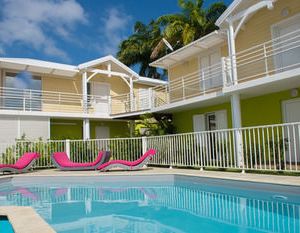Majesty Palm Saint Francois Guadeloupe